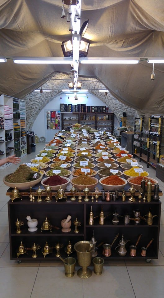 13095855_2041137356110455_6359629703610389891_n