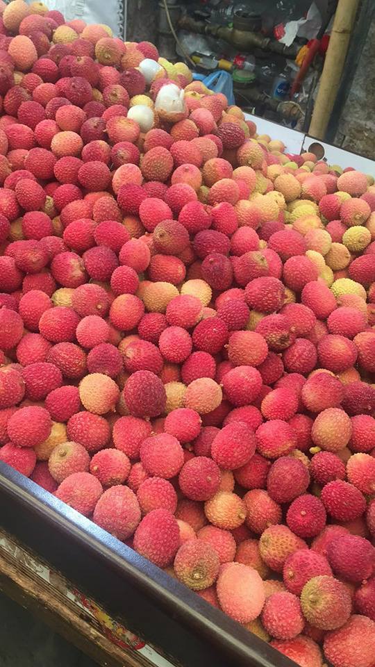 21230917_2396686103888910_5598257104791455642_n