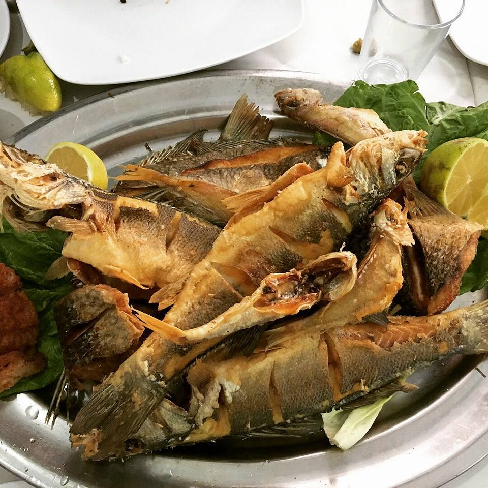 25497975_2464411847116335_564319101519569440_n