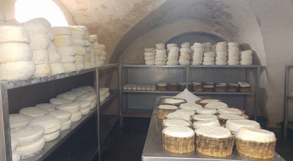 29496781_2529755227248663_3132518468941143771_n