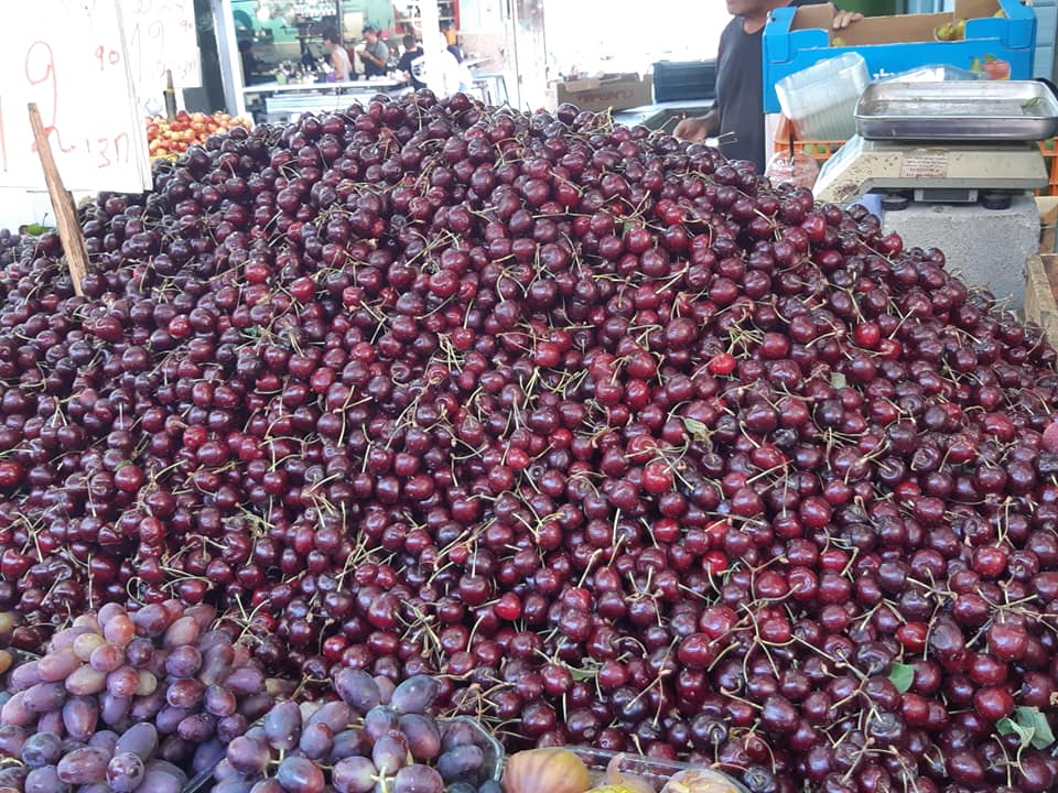 36667453_2610155262541992_1220258727723008000_n