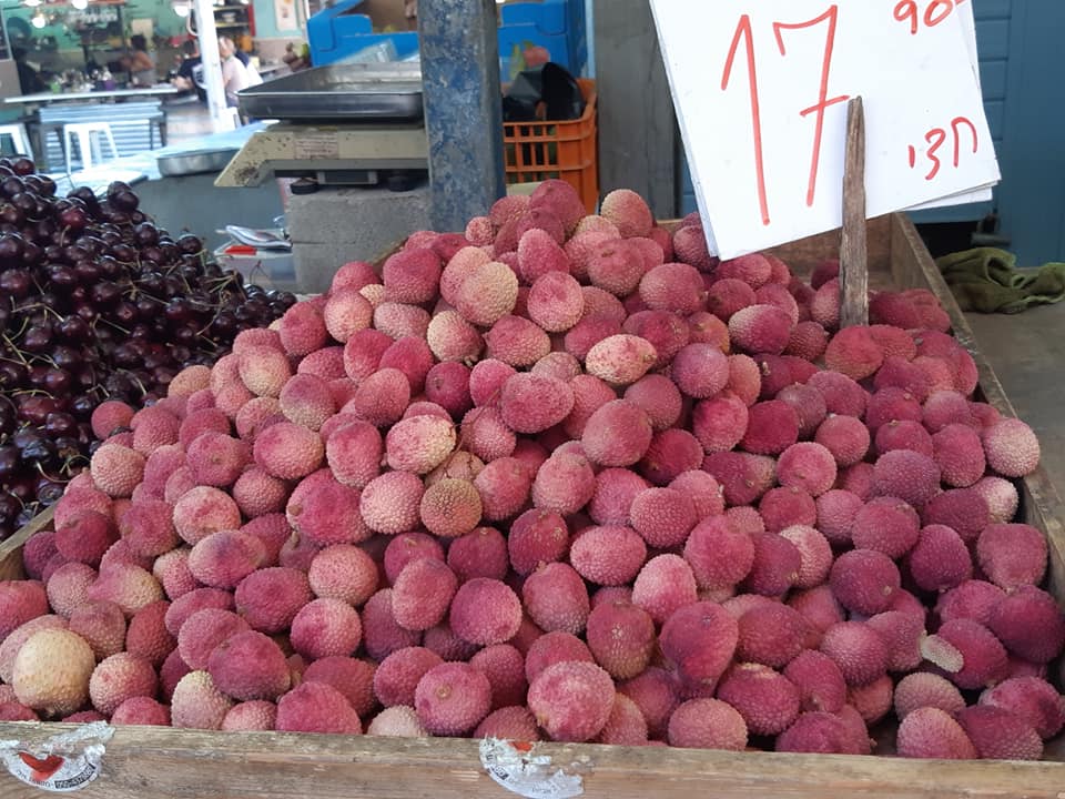 36688572_2610155209208664_3019378669266141184_n