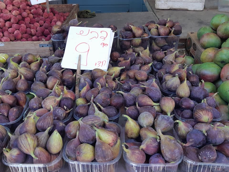 36738221_2610155169208668_4410822909233201152_n