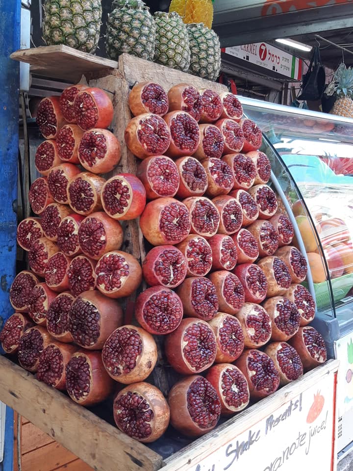 36755841_2610155129208672_8202845476127506432_n