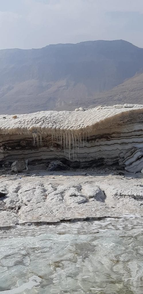 46329387_2730813133809537_2806049026653290496_o