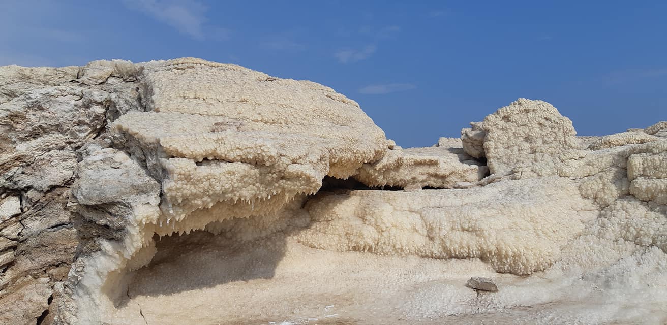 46352994_2730813370476180_5850076075144511488_o