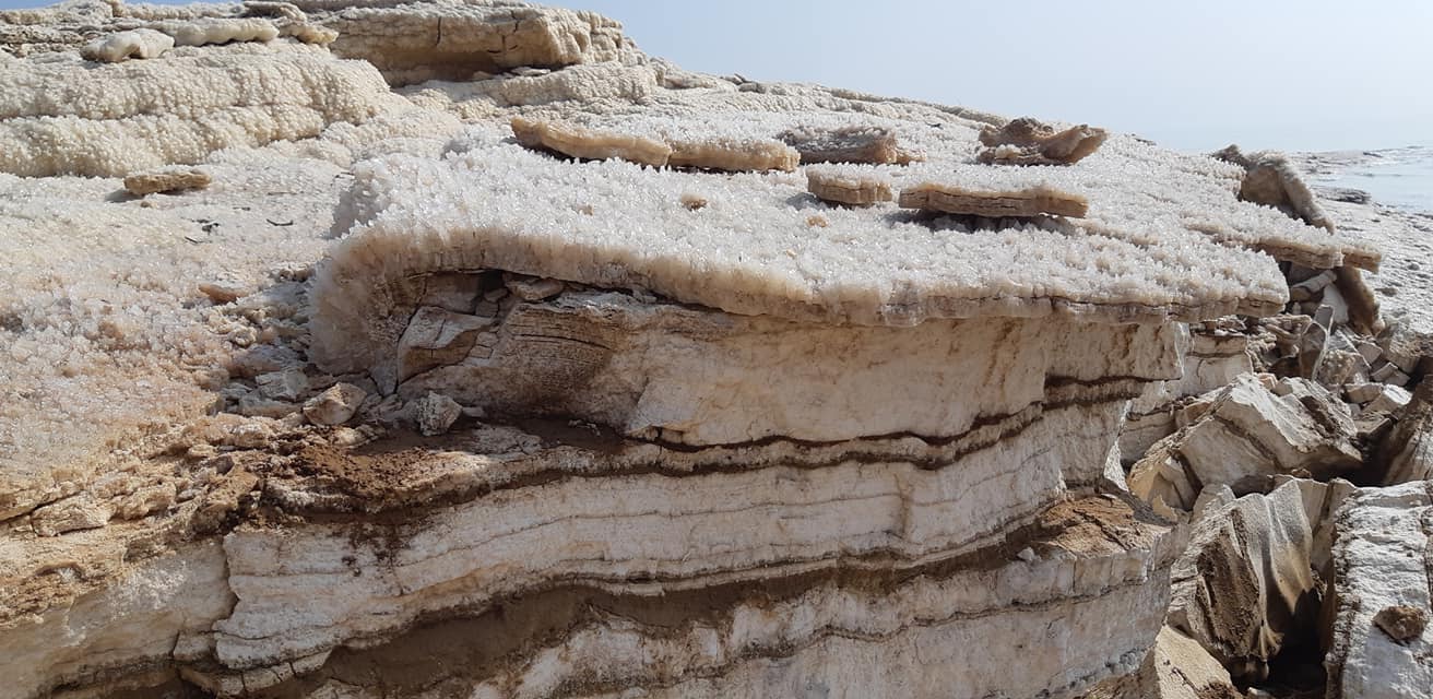 46492751_2730813440476173_3130301894811975680_o