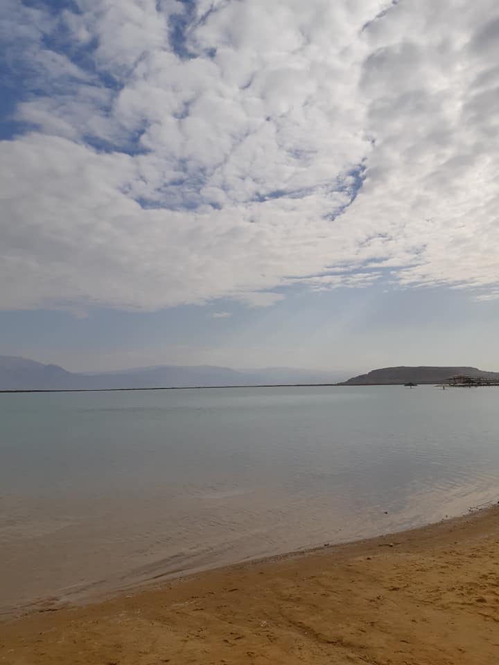 49001890_2765917653632418_377152331076075520_n